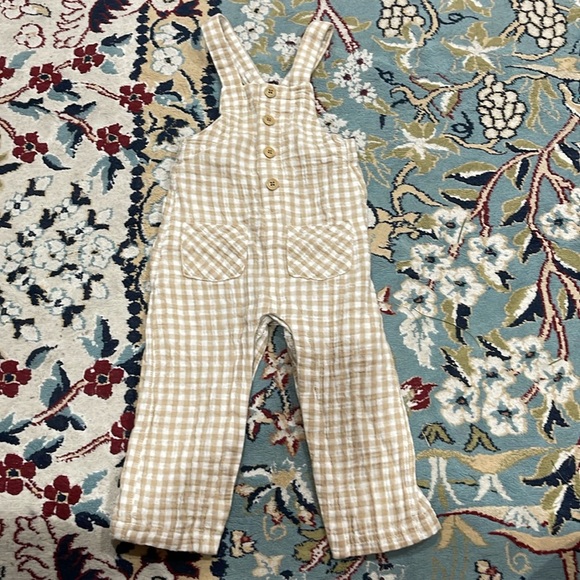 Overalls! - Picture 1 of 4